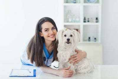 Insurance Coverage for Dogs and Puppies